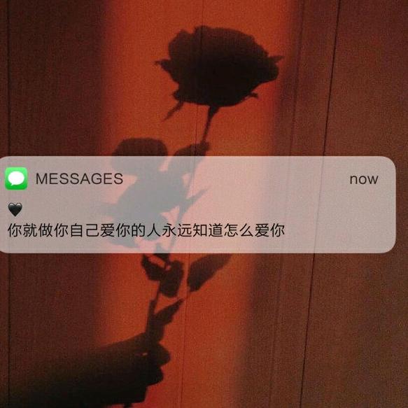 西出阳关（橱窗好物分享）