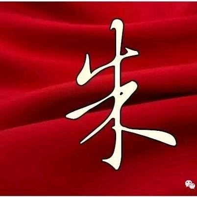 小猪猪