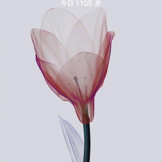 简单的人