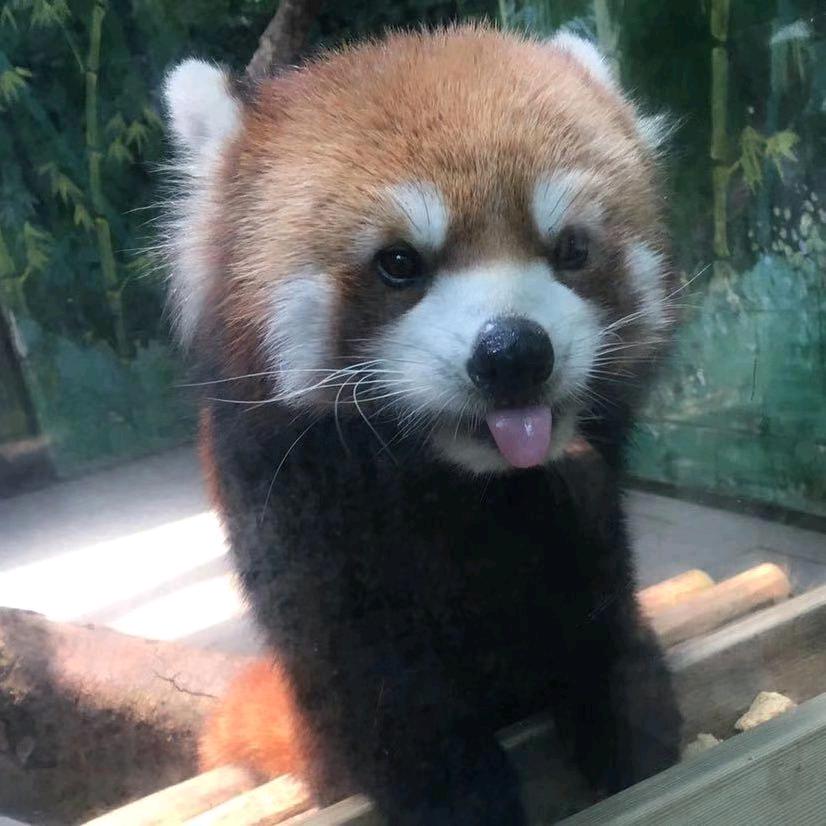 云与岛
