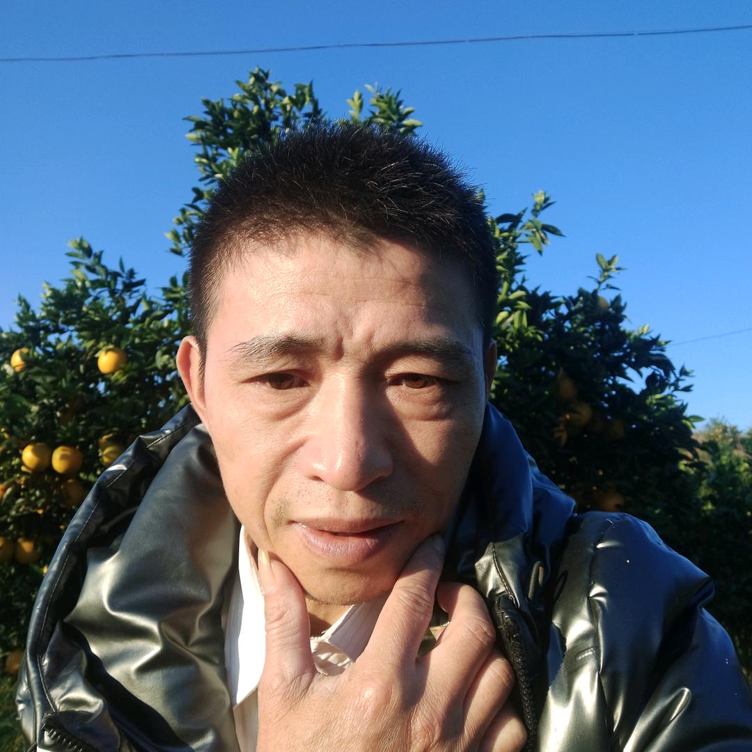 橙弟小刘