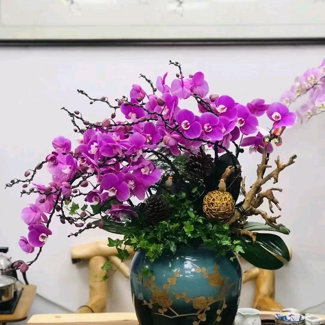 南宁蝴蝶兰销售中心