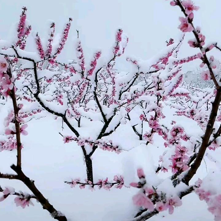 佛法无边