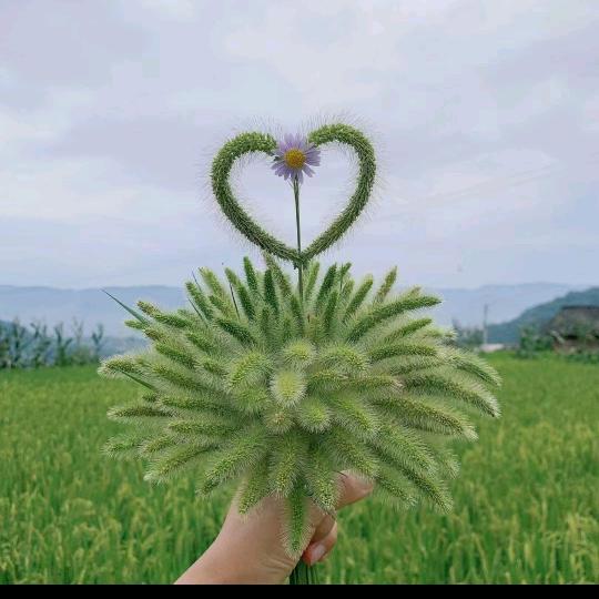 小冉姐姐😍