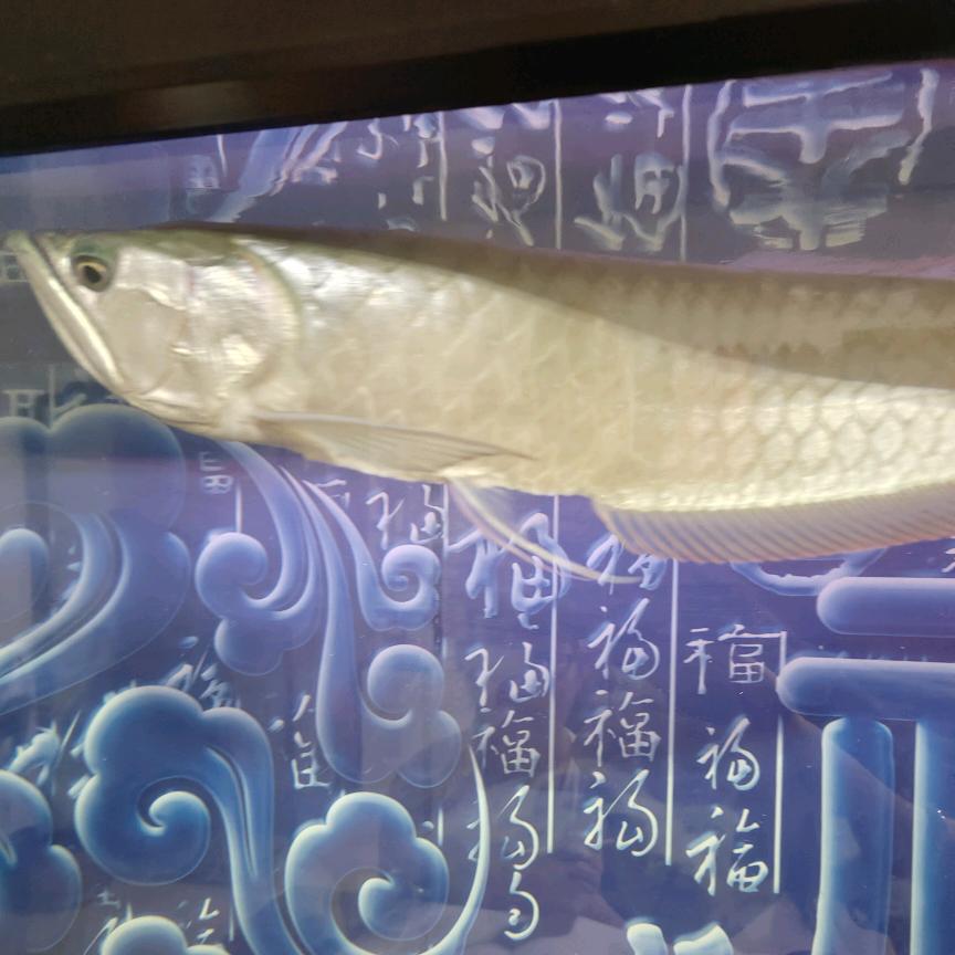 福寿