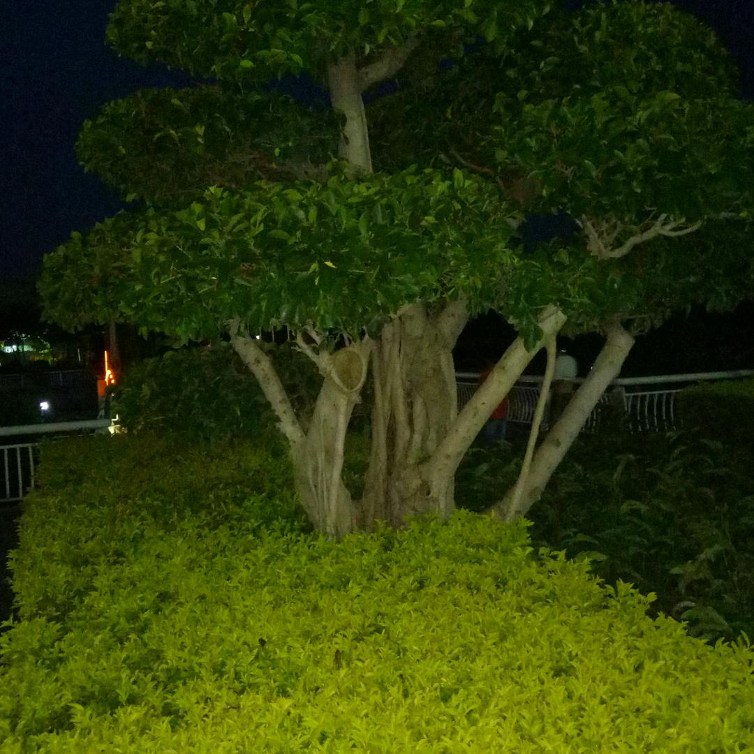 用户5049854379722