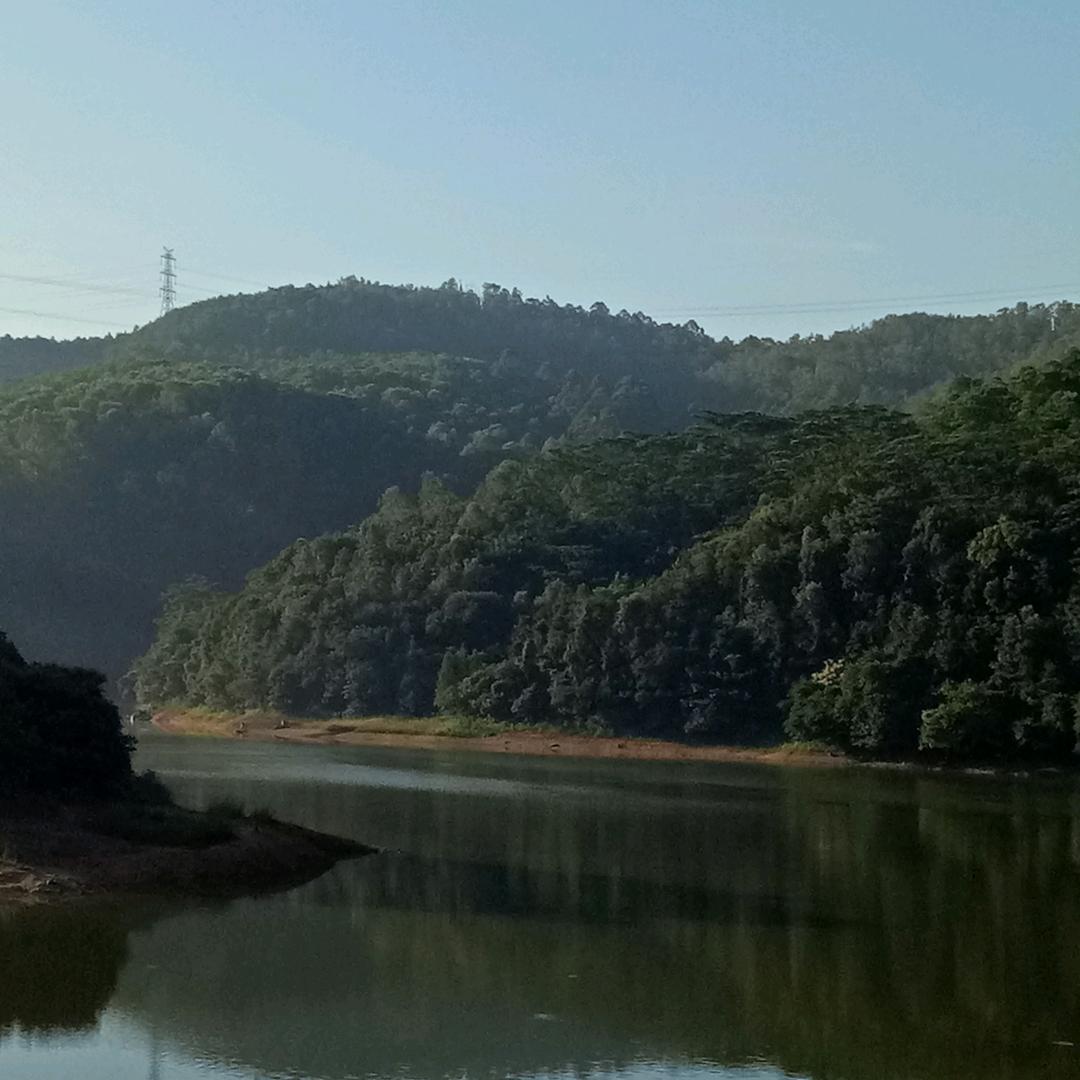 幸福