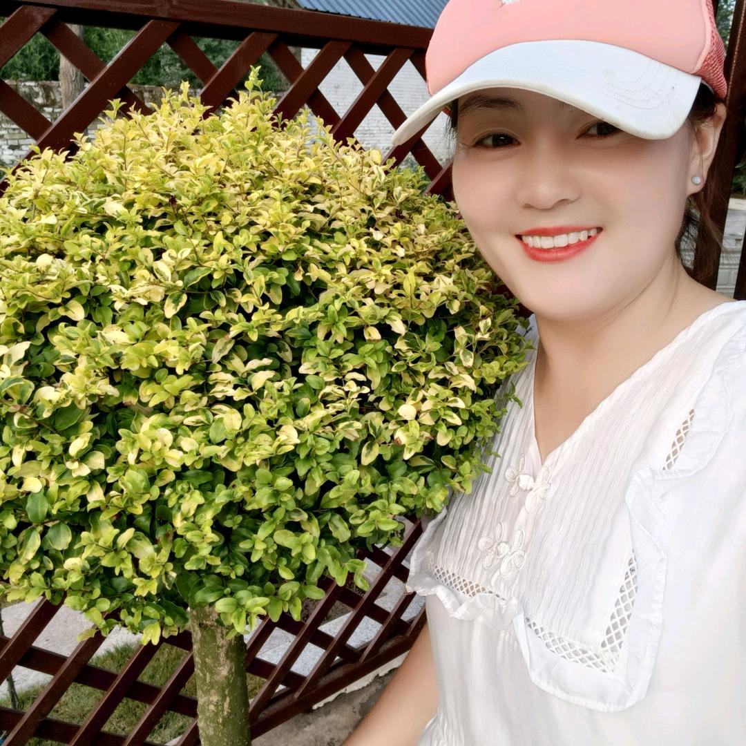 庭韵园林景观
