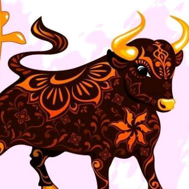 松哥哥(◔‿◔).｛＠°牛▽犊°＠｝