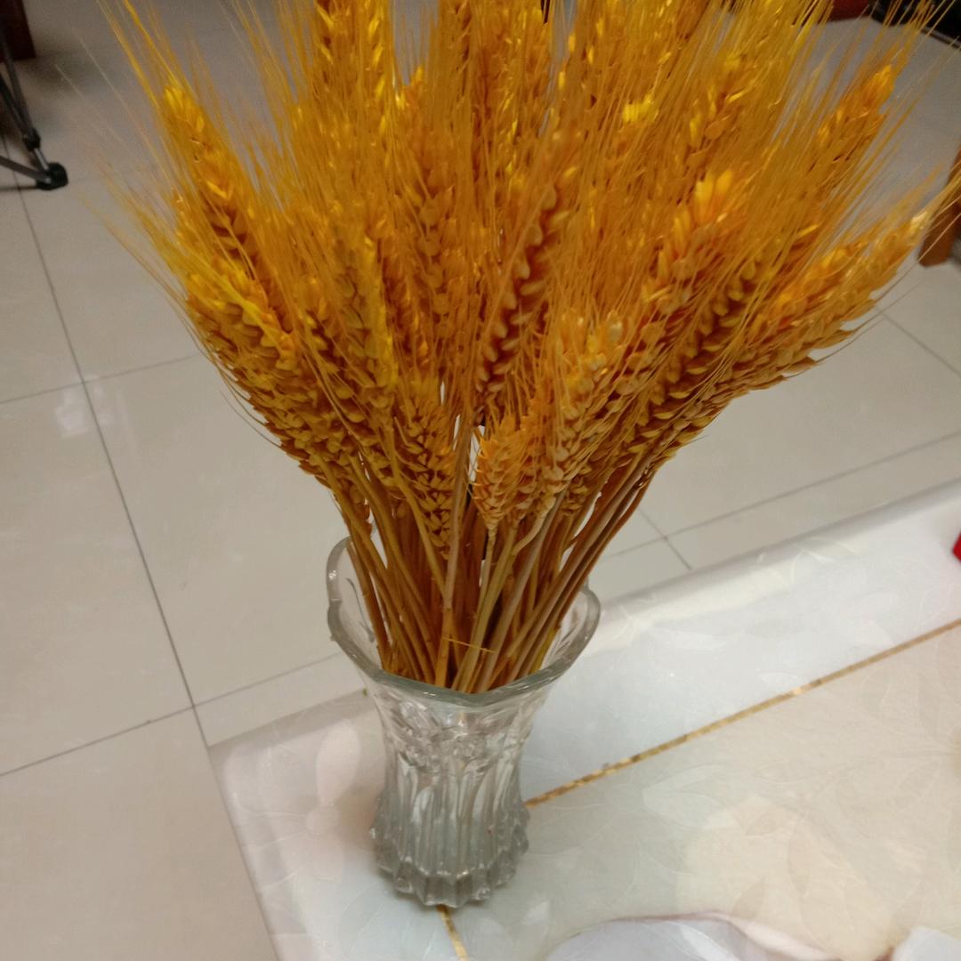 陈姐头像