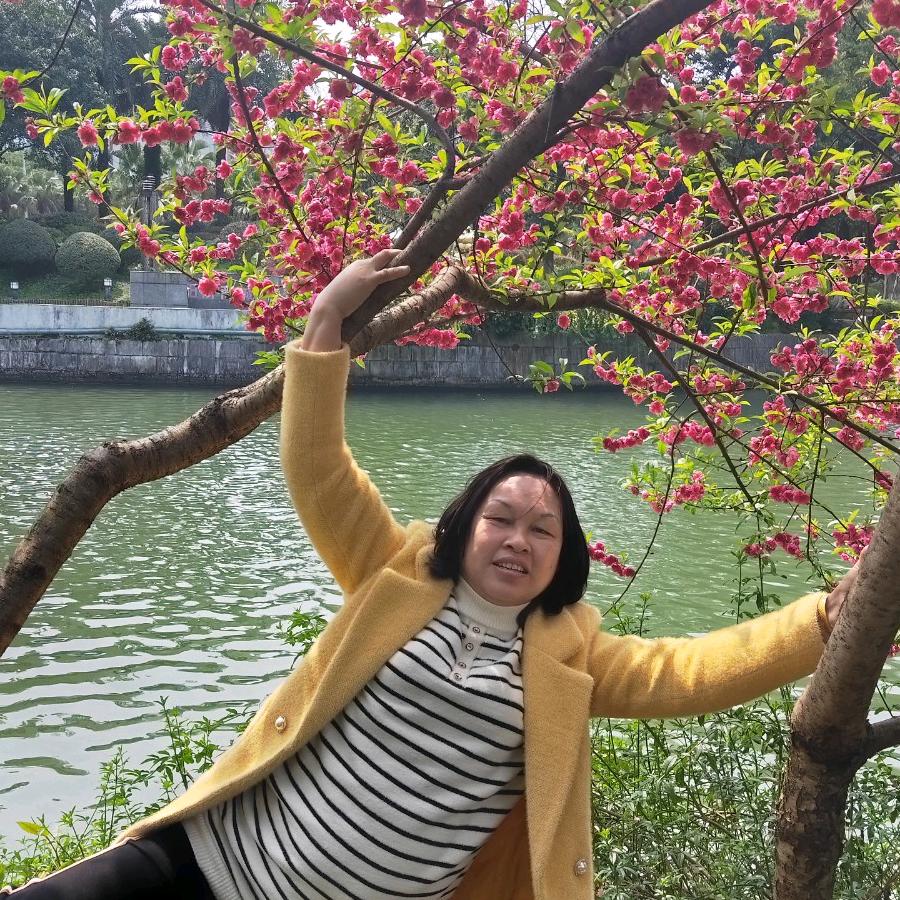 万菊华