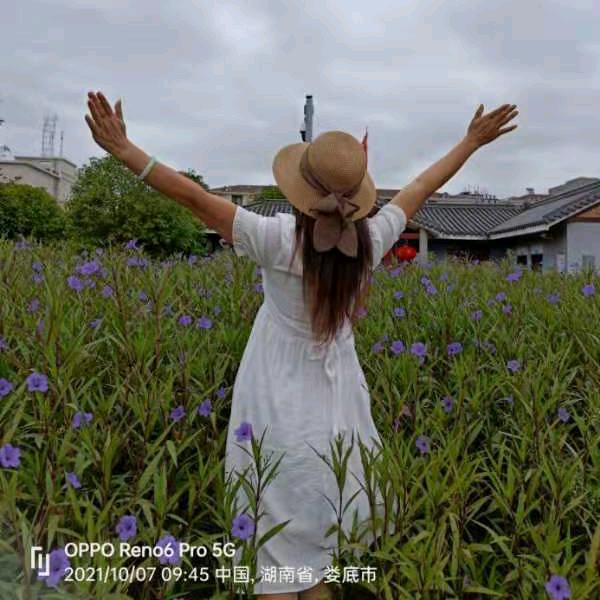 菲菲