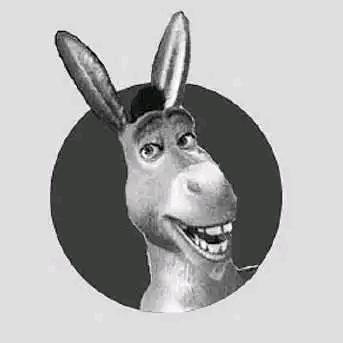 搞笑的驴哥