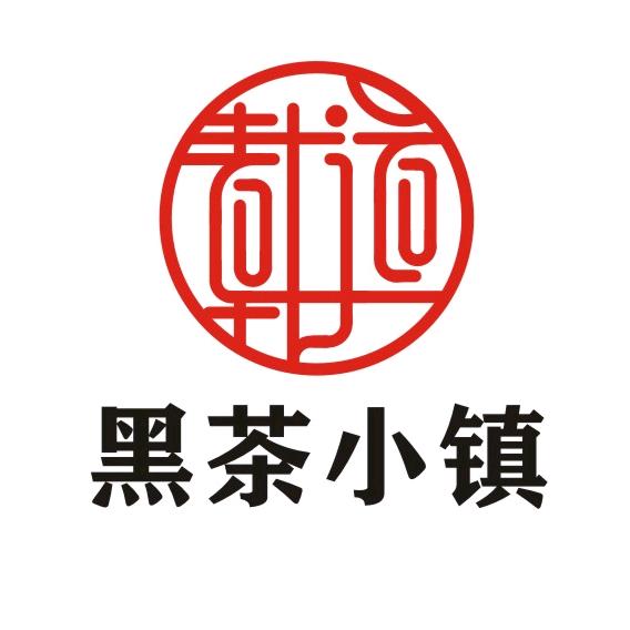 载道天下