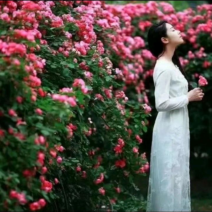 三叶和茶 臻选茶仓茂业店