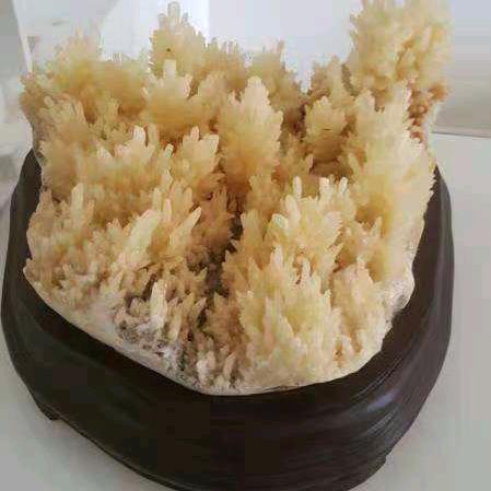 水库胖哥
