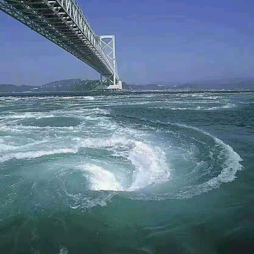 Live, in beauty