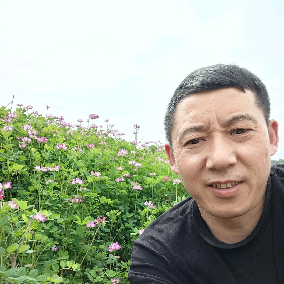太阳高升