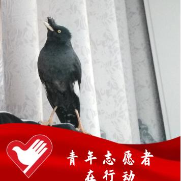 🐾觉醒时代🐾