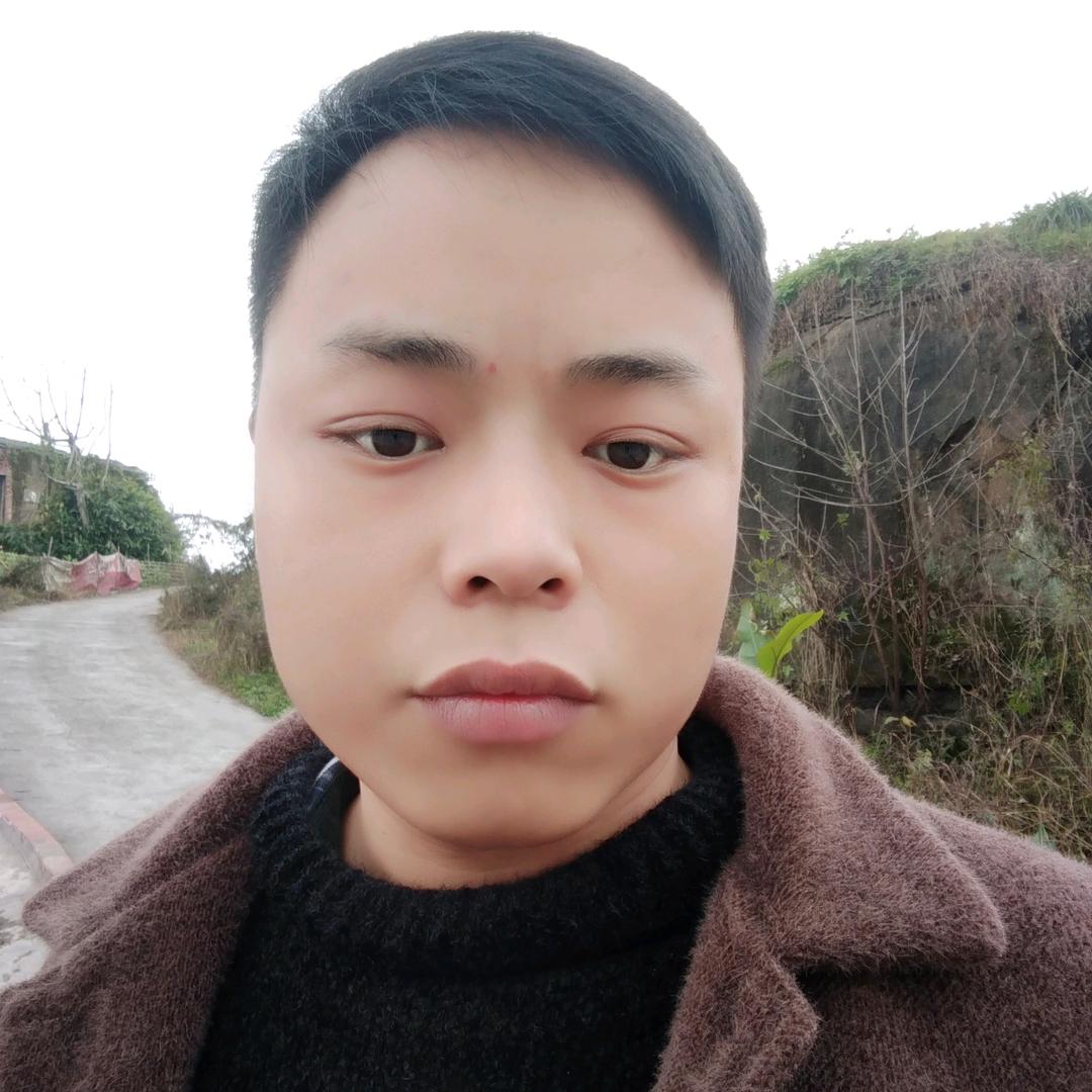 一只小🐻许