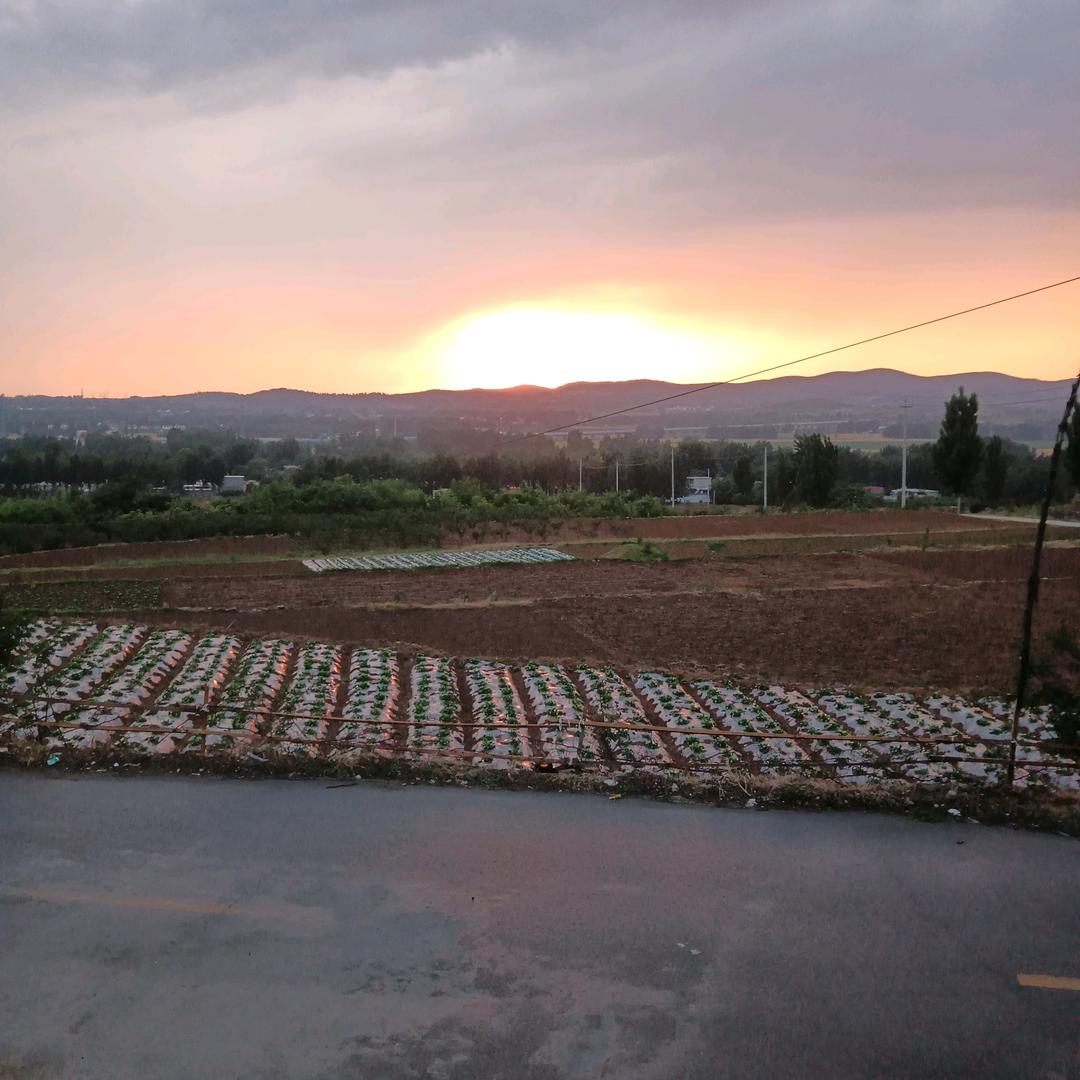 愿所求皆所愿。