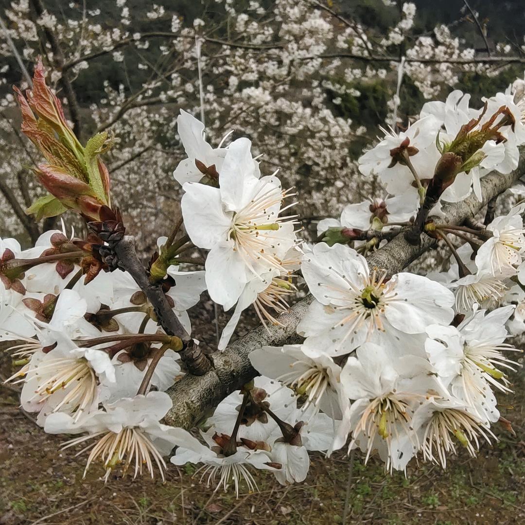 萍水相逢（谢谢你的关注）