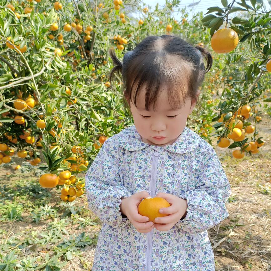 琪琪怪乖