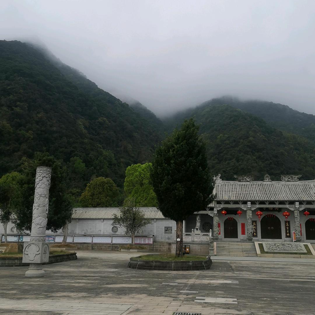 用户发达