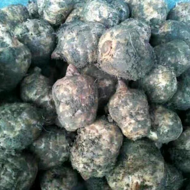 五峰百兴兄弟种养植家庭农场