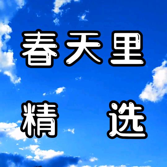 春天里精选