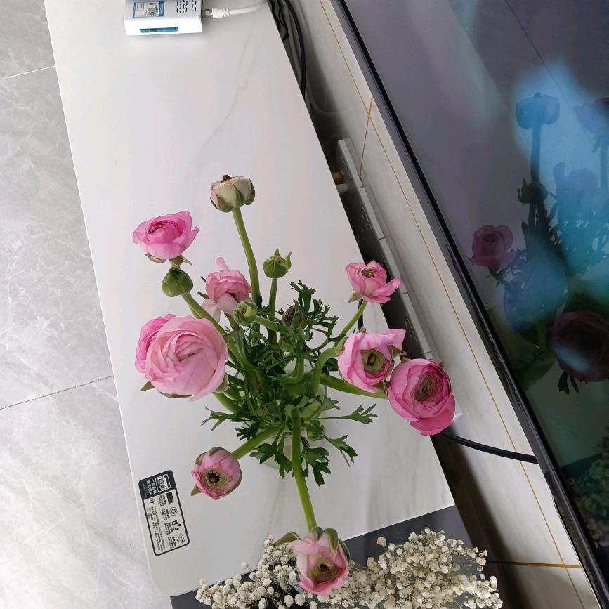 芊芊