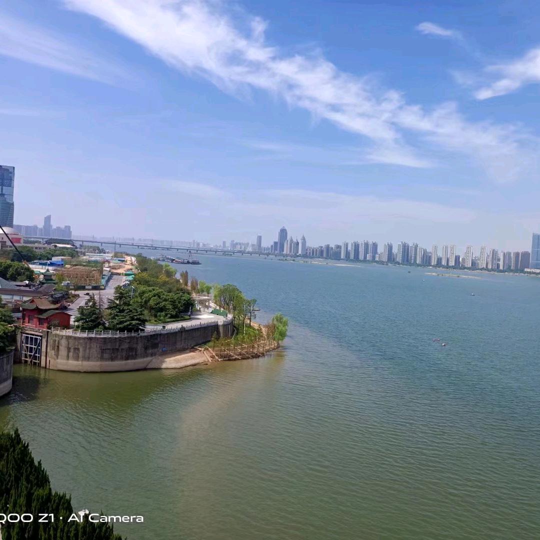 维达港