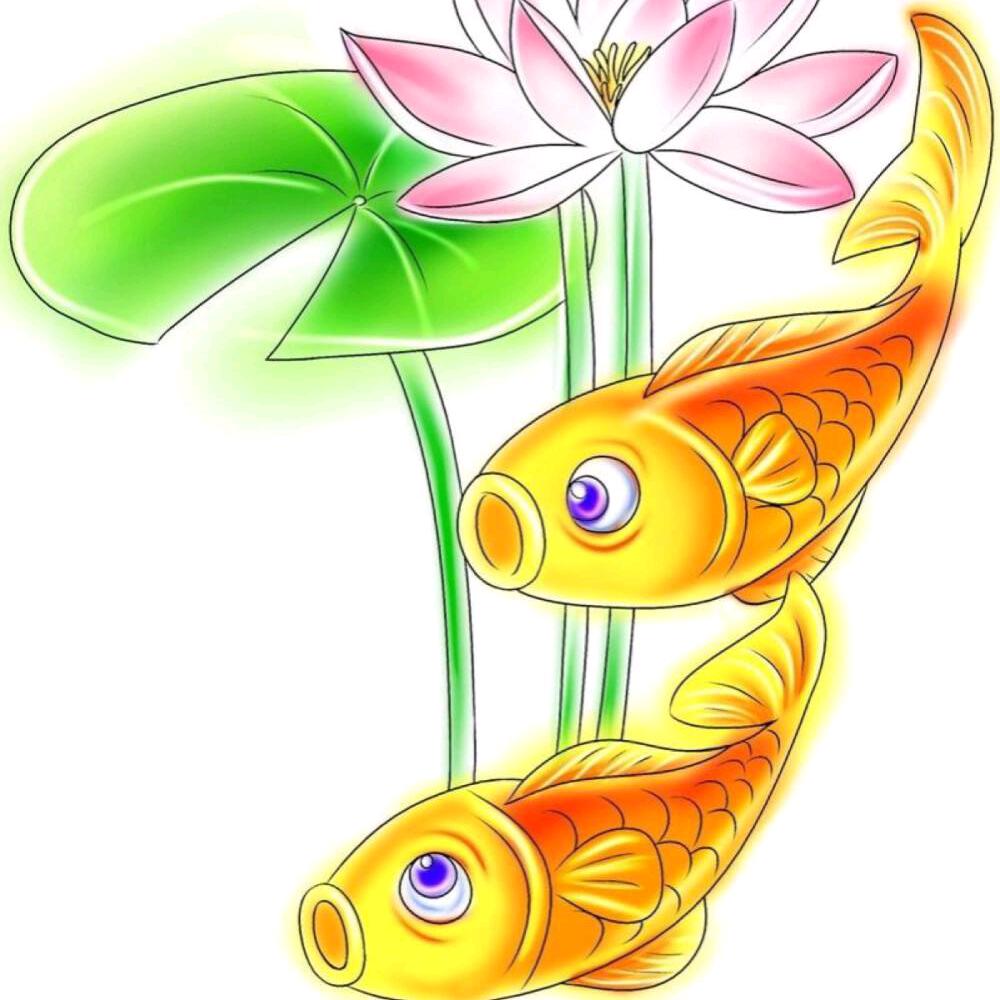 博涵渔网厂