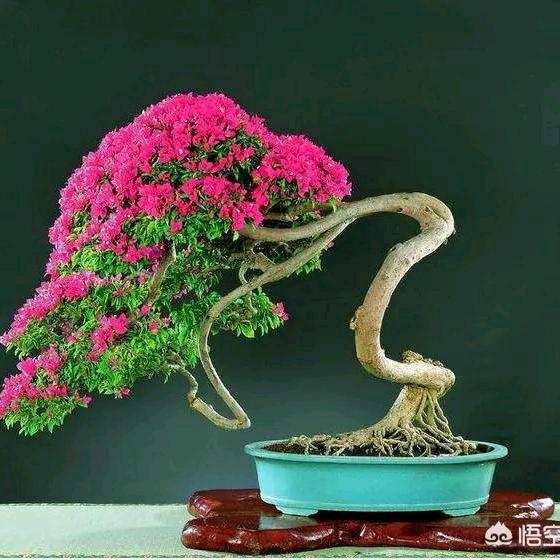 奋斗