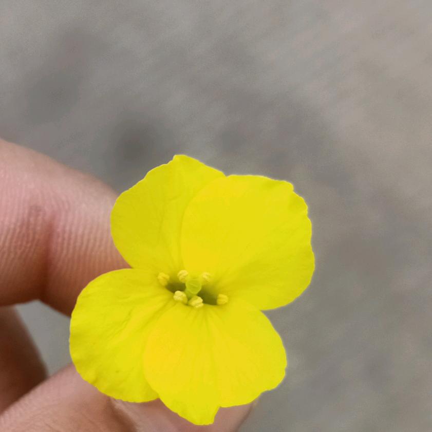 一切都会好的11111111