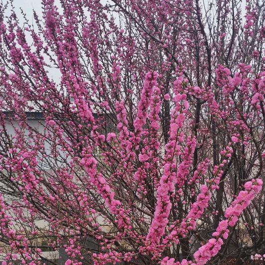 用户439967422人生漫漫