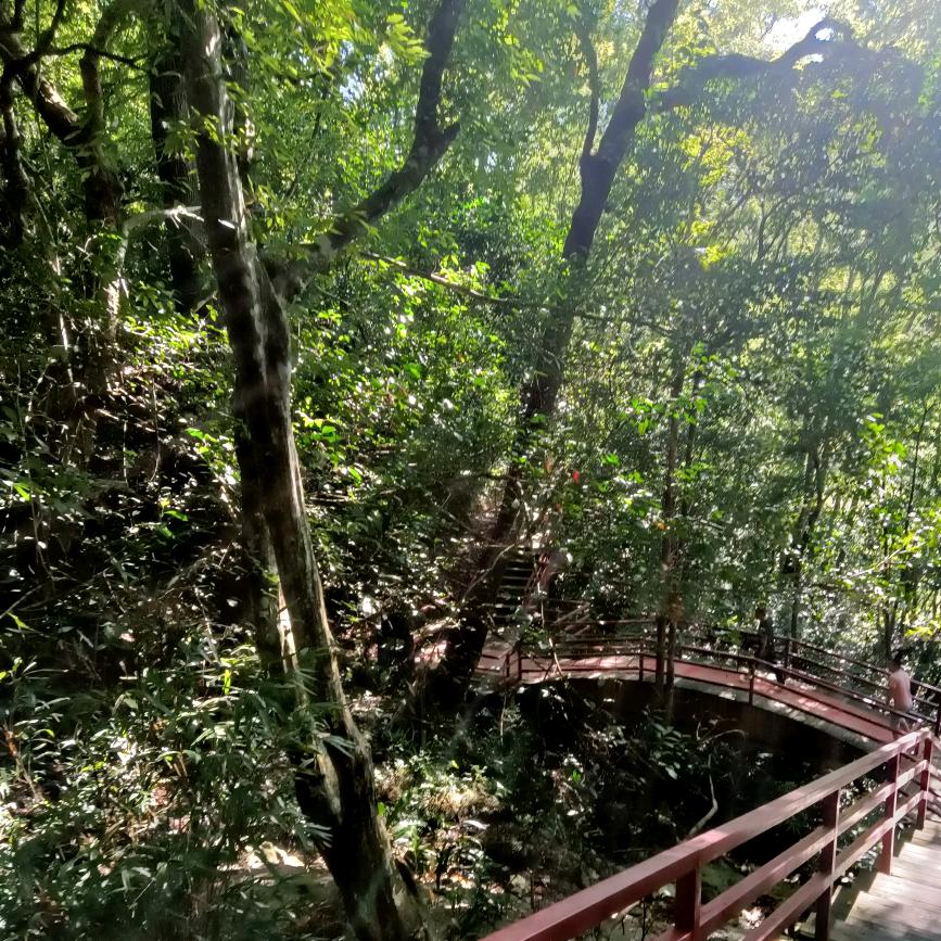 老王