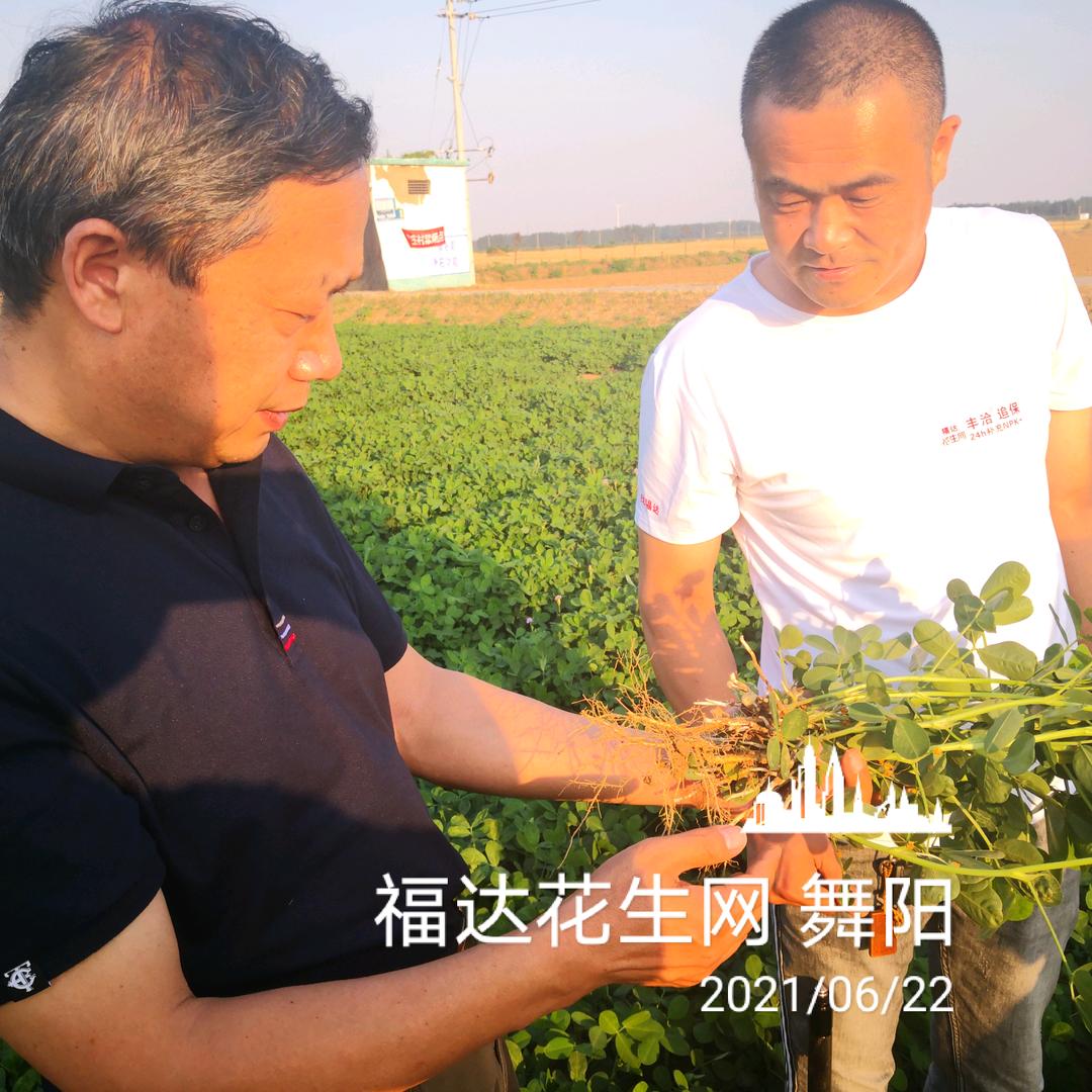 福达农业‖豫舞🥜说🇨🇳