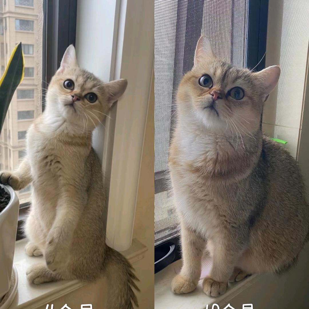 ❤️跟着心走❤️