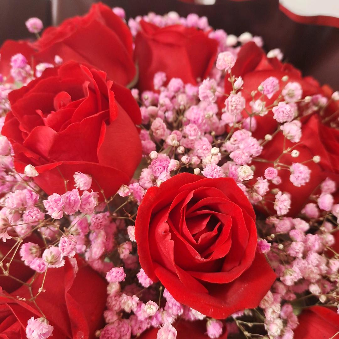 乐乐🌹🌹🌹