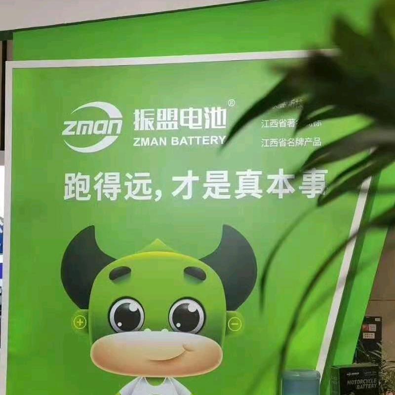 徐州振盟黑金天能超威批发零售以旧换新