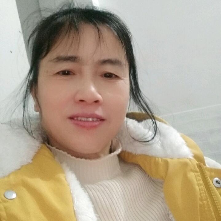 小菊