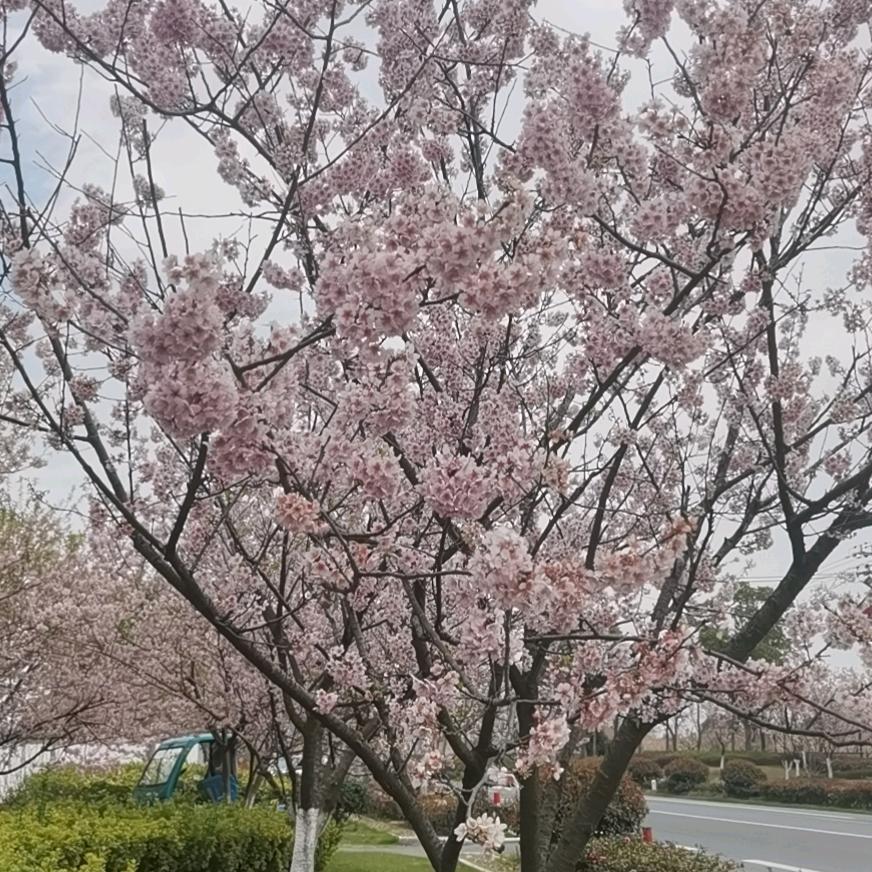 浩然