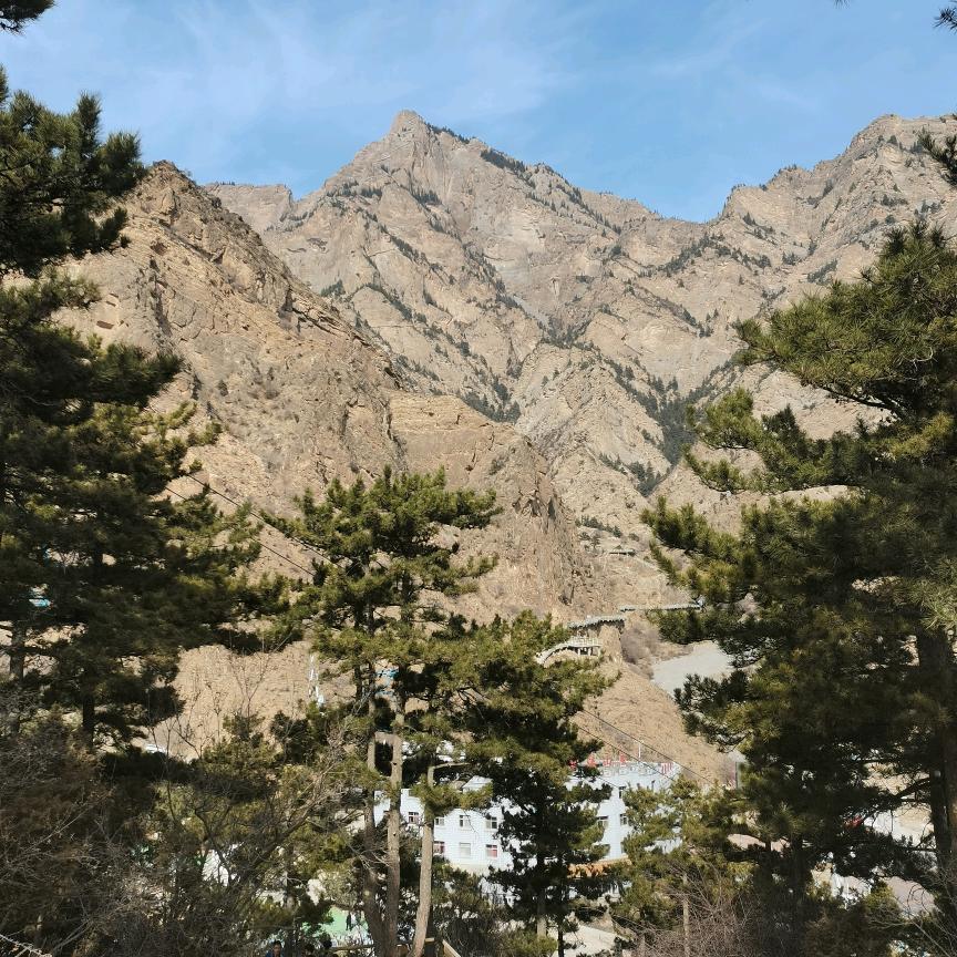 自由人