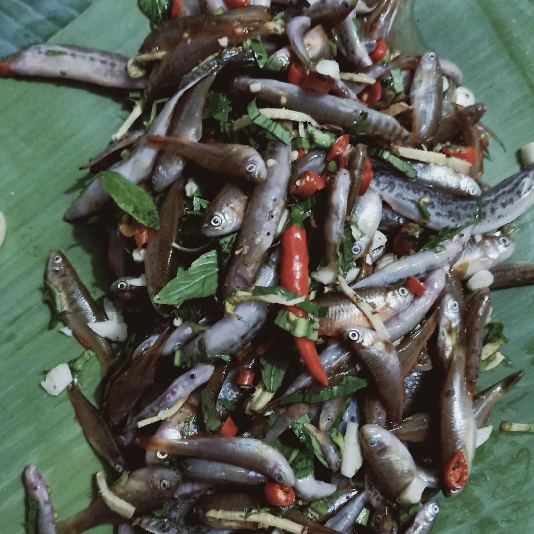 你狠心的样子，让我心痛❤🌹❤🌹