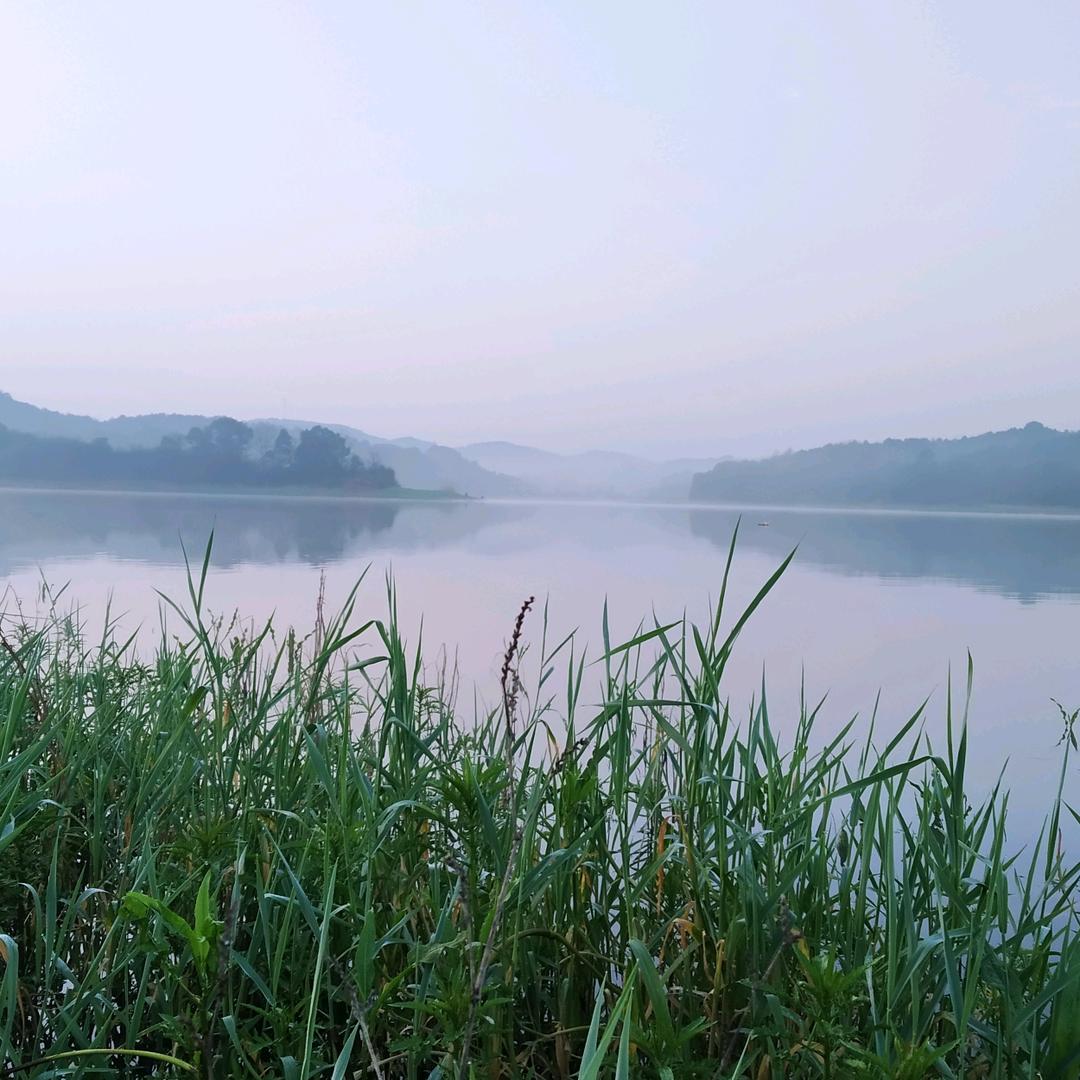 清风拂山岗