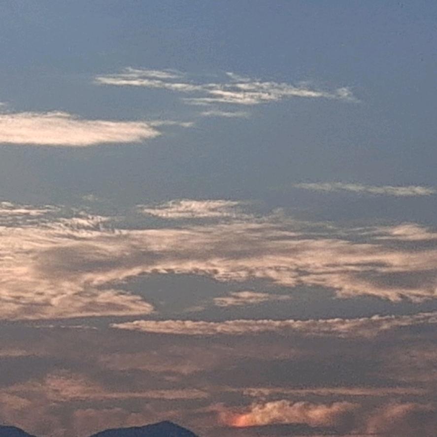 ☁落叶🍂潇潇🐬