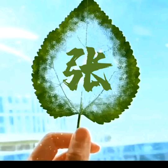 惯子如杀子>慈母多败儿