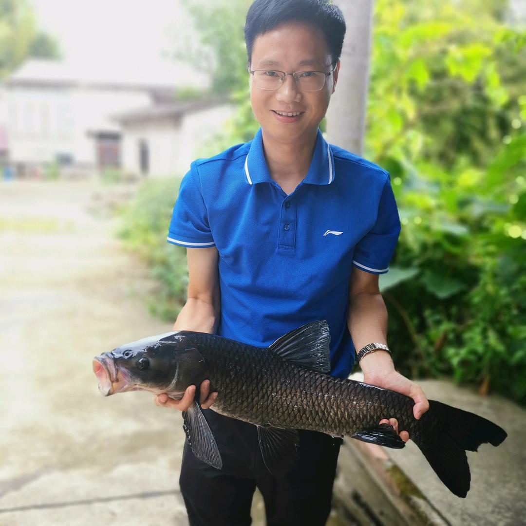 风继续吹
