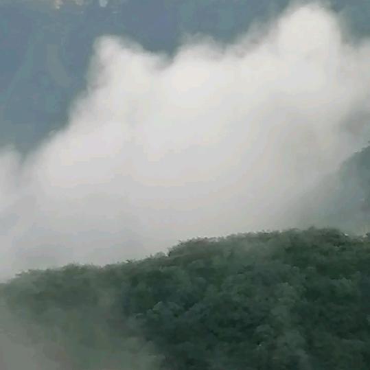 雪域雄鹰